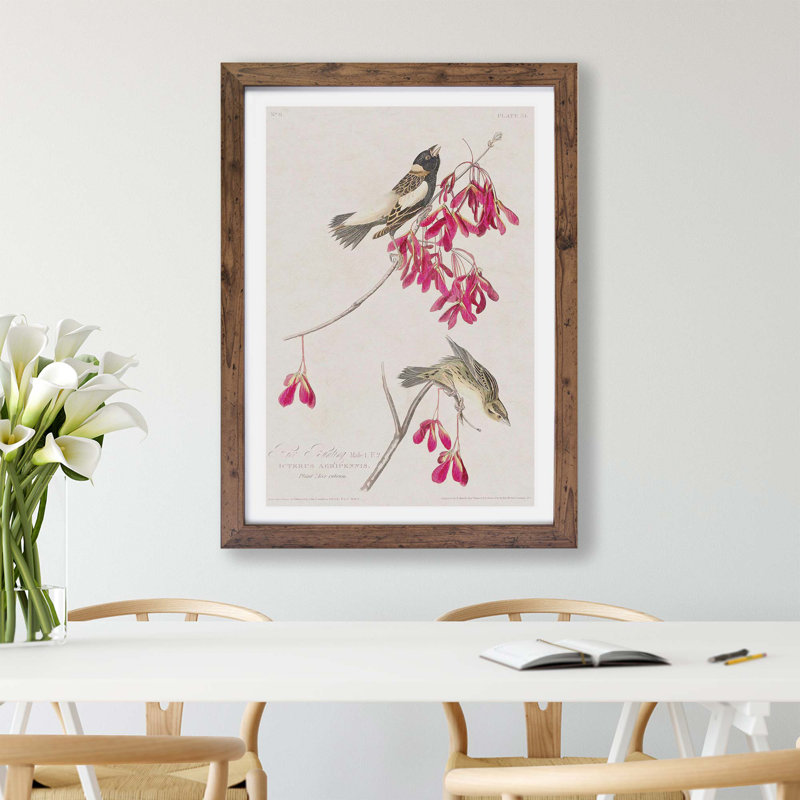 Rice Birds by John Audubon - Framed Print, 24cm H x 33cm W x 2cm D, Walnut