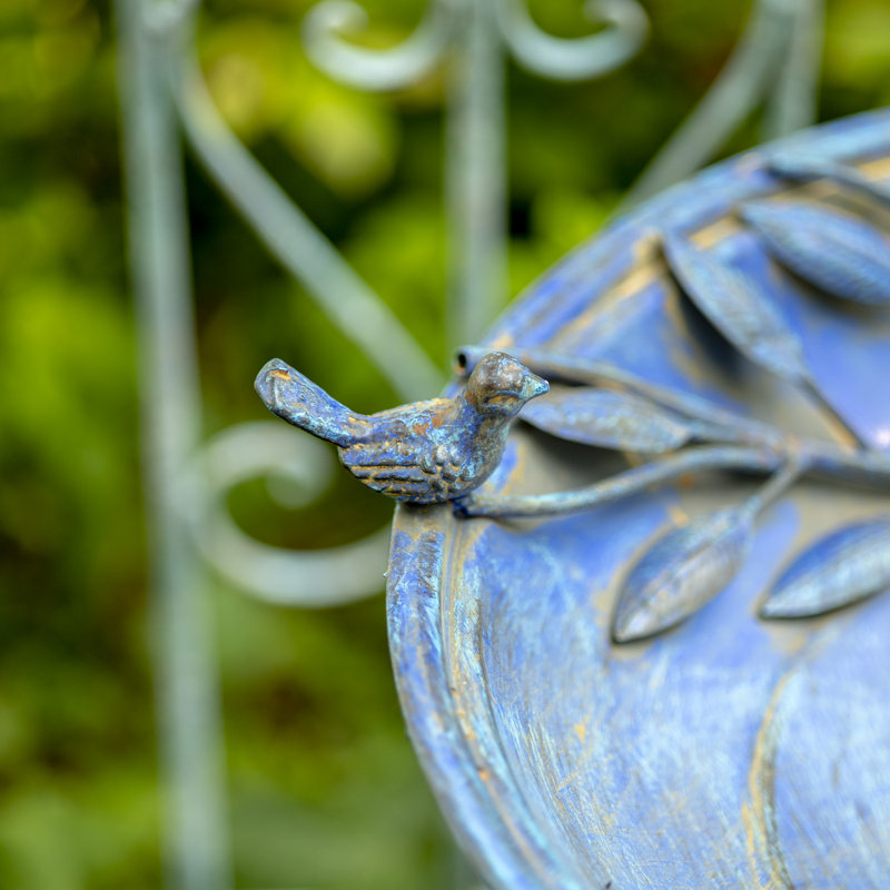 Bain d'oiseaux Delaporte, Bleu givré