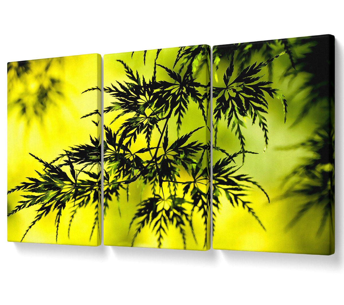 Ebern Designs Summer Tree Leaves - 3 Piece Wrapped Canvas Graphic Art ...