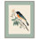 «Orchard Oriole», reproduction d'art sur toile par Art Remedy
