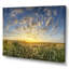 «Summer Sunrise Daisy Flowers», œuvre d'art traditionnelle sur toile-1472735666-1472735679