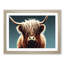Highland Cow Portrait Vol.4 - Single Picture Frame Print-37582213-37582330