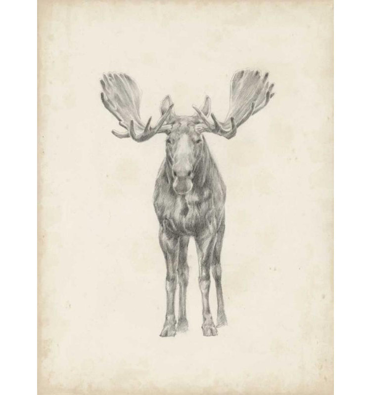 Art sur toile tendue par Union Rustic Harper, Ethan Gallery: Moose Study, H 36 po x l 28 po