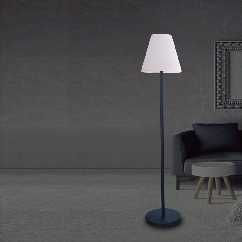 Lampe sur pied 67 po Apenai