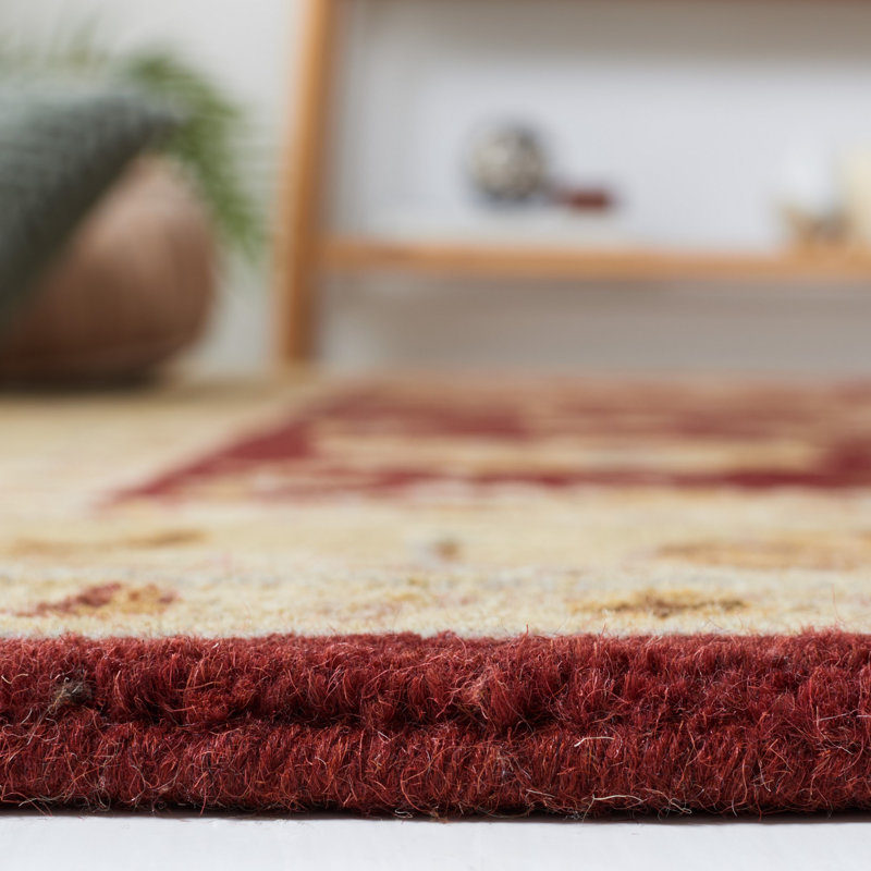 Tapis rouge / doré en laine touffeté à la main Balthrop, Ovale 7 pi 6 po x 9 pi 6 po