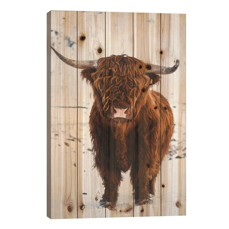 «Highland Catt I» par Steffen Fossbakk - impression sans cadre sur bois, L 26 po x H 40 po