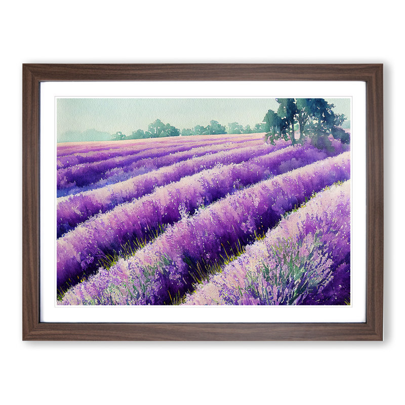 Lavender Field Vol.7 - Framed Print, 34cm H x 46cm W x 2cm D, Walnut