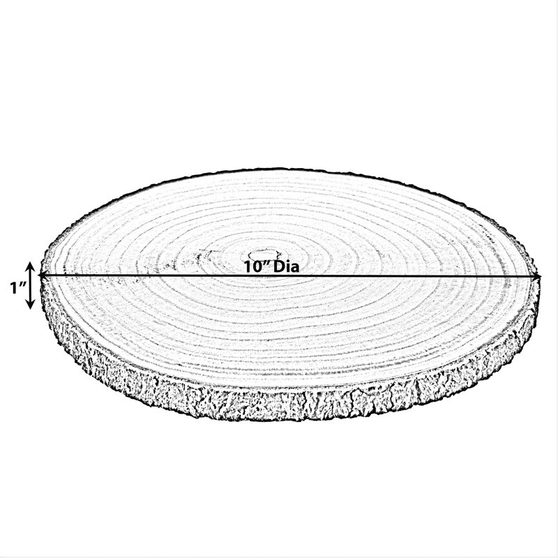 Luong Solid Wood Tray - Set of 4, 1" H x 10" W x 10" L