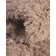  Tapis kaki