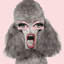 Pink Poodle Mouth Print by Jeffrey Goodman-66225538