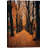 Autumn Fall " Orange Autumn Garden Path Nature Forest Trees "-99142074-99142072