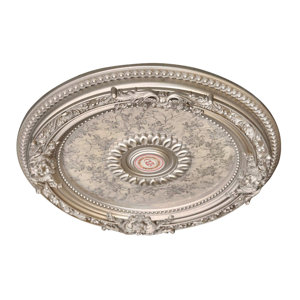 https://assets.wfcdn.com/im/42641645/resize-h300-w300%5Ecompr-r85/2380/238009534/Petite+Round+Champagne+Ceiling+Medallion.jpg