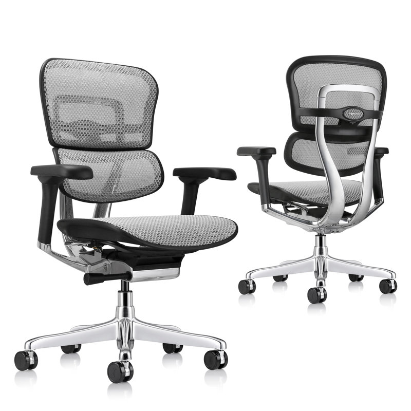 Ergohuman Task Chair, Gray - Generation 2