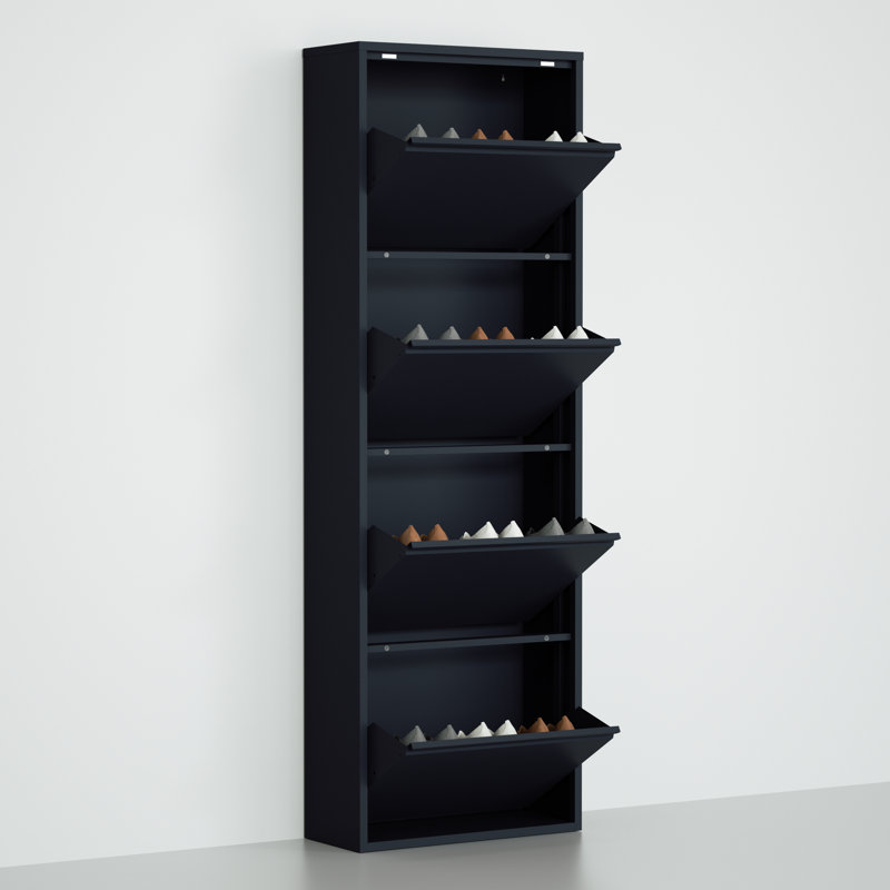 Armoire de rangement pour chaussures 8 paires, Noir
