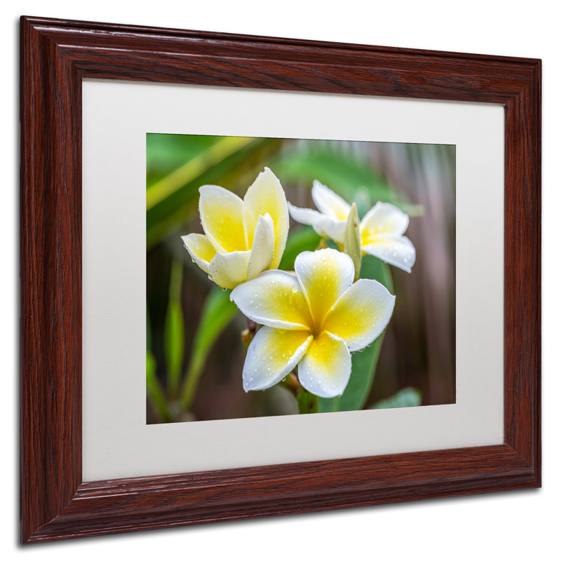 Plumeria in the Rain Acrylic Painting with Brown Frame