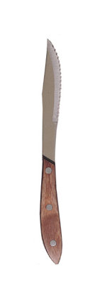 Update International Serrated Steak Knife