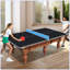 Plateau de table de tennis de table pliable et portable de 8,5 pi de taille moyenne pour jeux d'intérieur-124823455-124823452