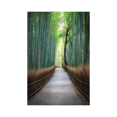 Frameweb  A 'colourful bamboo forest' – or a gift shop for a