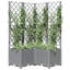 Chanique Raised Garden Bed with Trellis