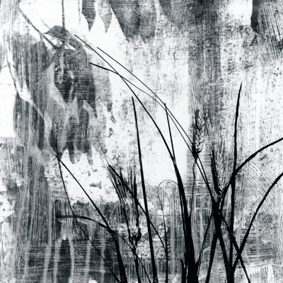 Exposure I by Jennifer Goldberger - Wrapped Canvas Print