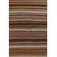 Kilim & Flatweave One-of-a-Kind 4'8x7'0 Area Rug