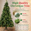 Christmas Tree-623693795