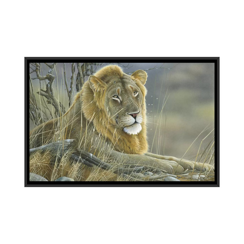 « lion », impression sur toile, H 18 po x l 26 po x P 1,5 po, Toile avec cadre noir, Pas de tapis