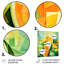 Vert et jaune motif de melon d'eau 1 - Melon, art mural en métal-101156044