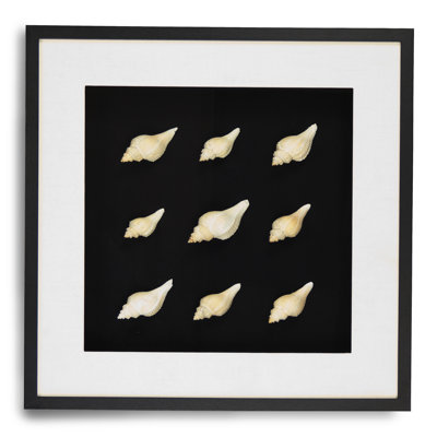 Abstract Shell Art Print