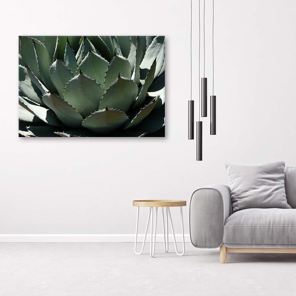 Leinwandbild Succulent Plant Green