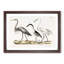 Three Herons by J.E. De Kay - Picture Frame Painting Print-55611059-55611057
