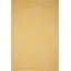 Tapis intérieur / extérieur floral Raelene-330044179