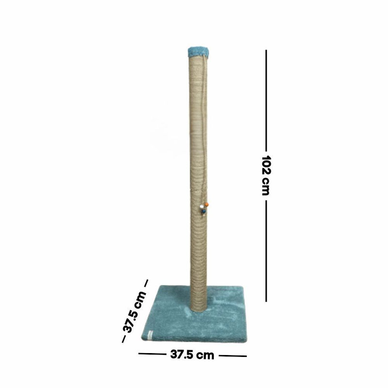 Grattoir pour chat, Turquoise