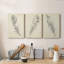 Plume d'esquisse I - ensemble de 3 reproductions d'art sur toile tendue-158690536