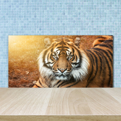 50 cm. W x 100 cm. L Peel and Stick