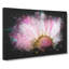 Pink Daisy Flower - Wrapped Canvas-56640791