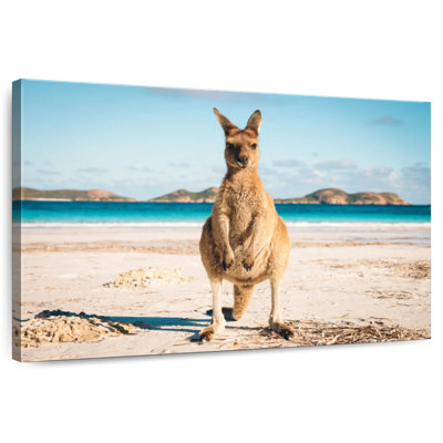 Crowle Lucky Bay Kangaroo