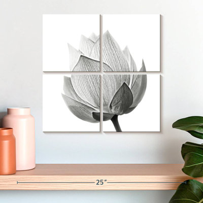 Harnek Budding Lotus