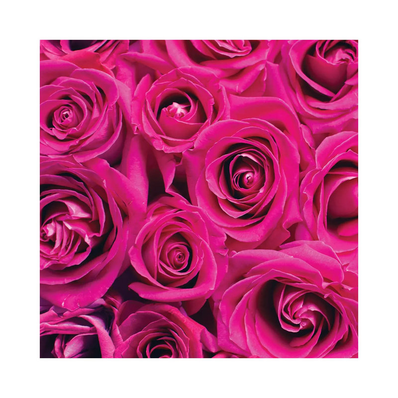 Paris Rose I by Kimberly Allen - Wrapped Canvas Print, 30.48 cm H x 30.48 cm W