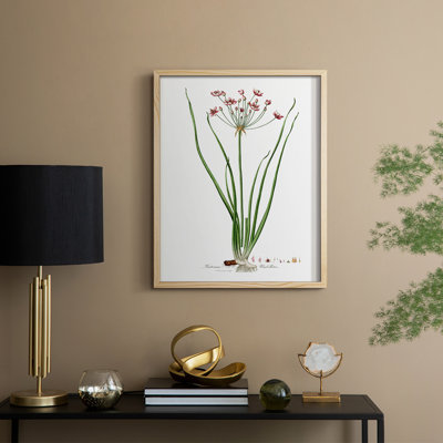 Rose Botanical II, reproduction encadrée - bois massif