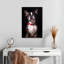 Beau terrier de Boston-1350150967