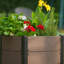 Wood Raised Garden Bed-122056732