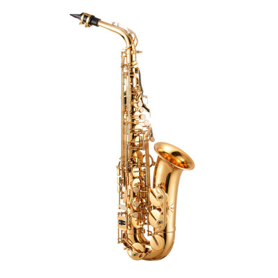 Saxophone alto, mi bémol, ensemble de saxophone en laiton pour débutant avec étui de transport, embout buccal, sangles, tige de chiffon de nettoyage, gants, graisse, bandoulière, ensemble de saxophone alto 23 clés, pour débutants, or