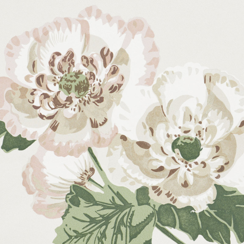 Papier peint Schumacher x Veere Grenney Betty, Rose discret