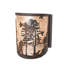 1 - Light Flush Mounted Sconce