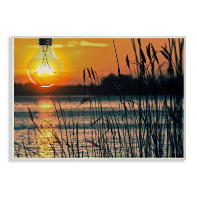 Stupell Industries 'lightbulb Sun Lake Reeds' By Marcus Prime - Photograph Print In White Wood Plaque