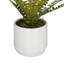 Plante à feuillage artificiel 12,15 po en pot