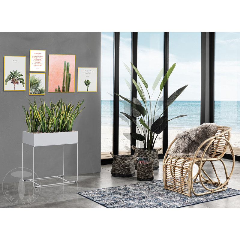 Garden Paintings Composition - B - 5 Piece Single Picture Frame Art Prints on Canvas
