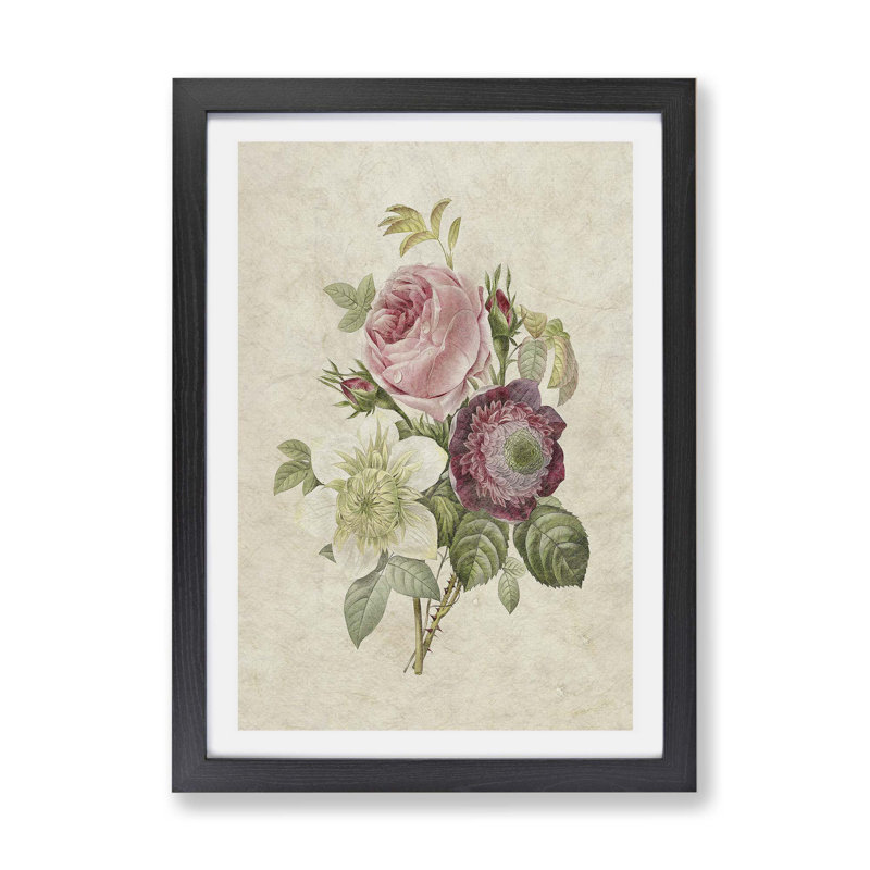 Pink Anemone Rose by Pierre-Joseph Redoute - Single Picture Frame Painting, Black, 33cm H x 45cm W x 2cm D