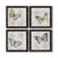 Carte postale papillon I - ensemble de 4 reproductions d'art sur toile-1562484621-1562484626-1562566378